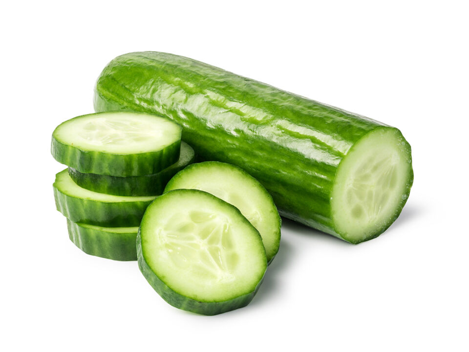 SALATALIK KG (SİLOR)