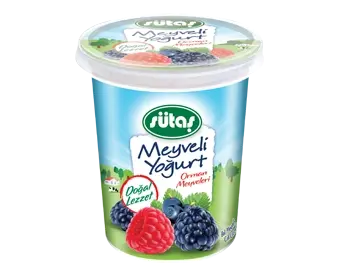 SÜTAŞ M.YOĞURT ORMAN MEYVELERİ 500 GR.