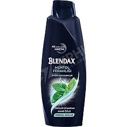 BLENDAX 500 ML.ŞAMPUAN ERKEK MENTOLLÜ